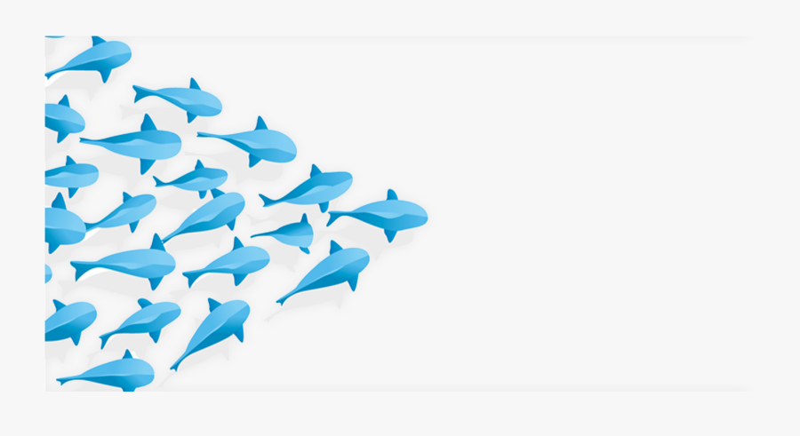 Png A School Of Fish , Transparent Cartoons - Business Leaders Ppt, Transparent Clipart