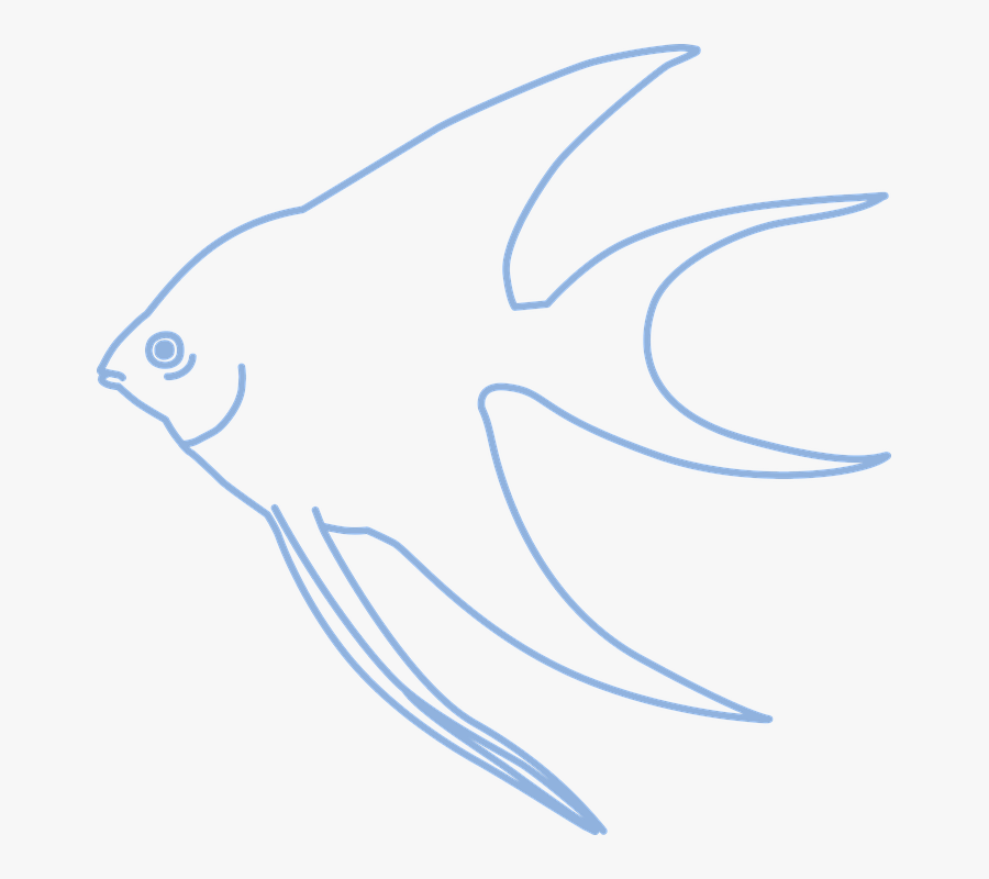 Simple Angelfish, Transparent Clipart