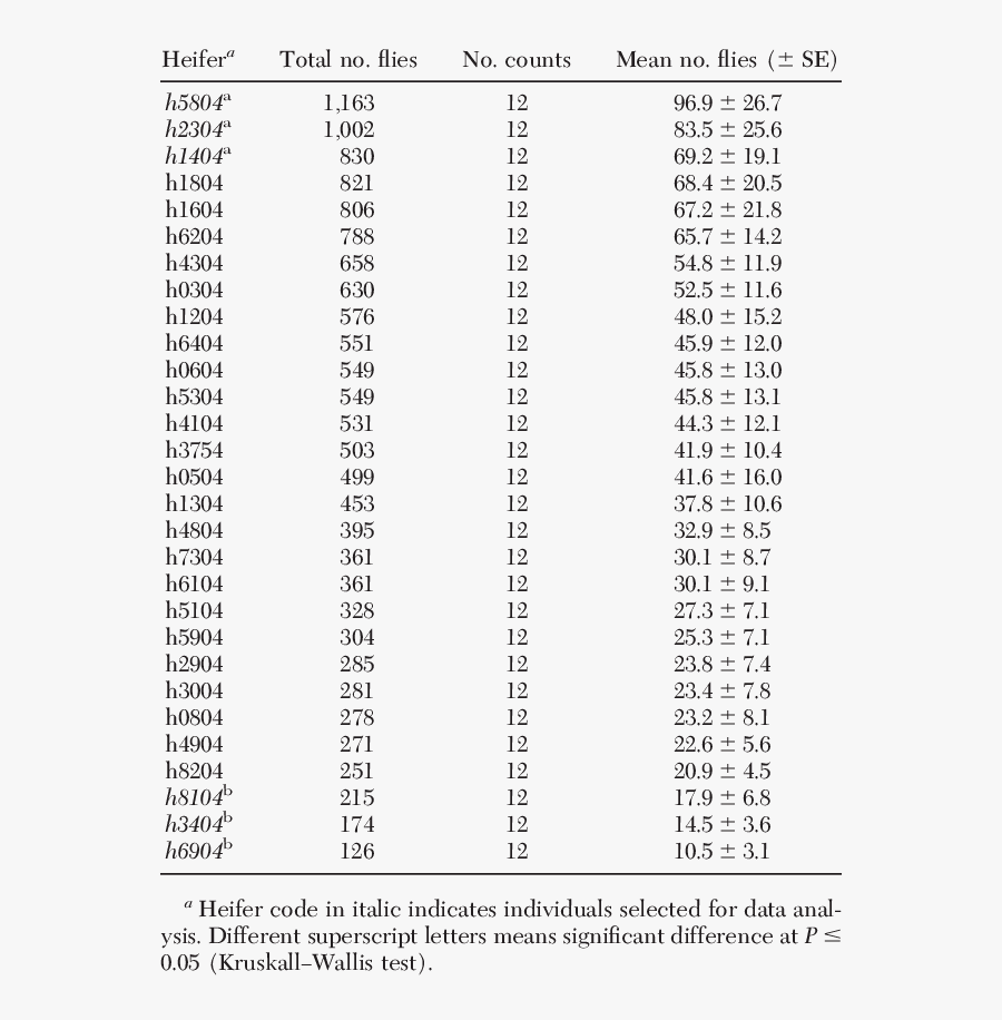 Cattle Vector Heifer, Transparent Clipart