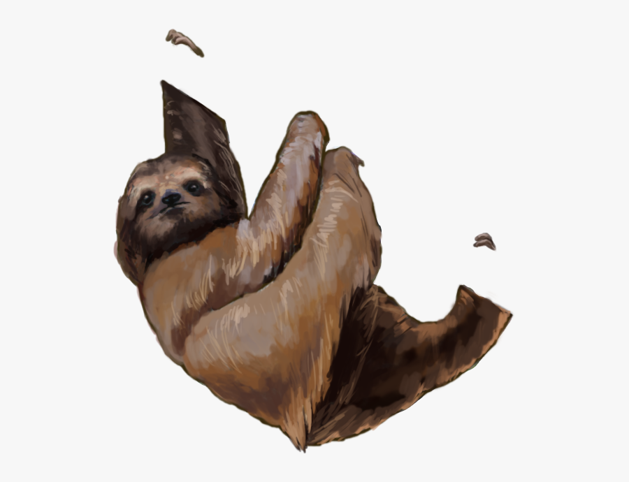 Three-toed Sloth, Transparent Clipart