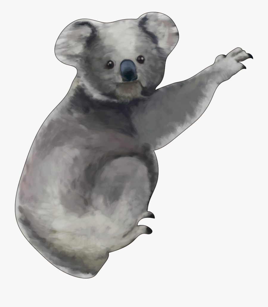 Koala, Transparent Clipart