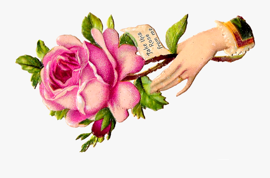 Flower Rose Pink Floral Craft Supply Digital Download - Bouquet, Transparent Clipart