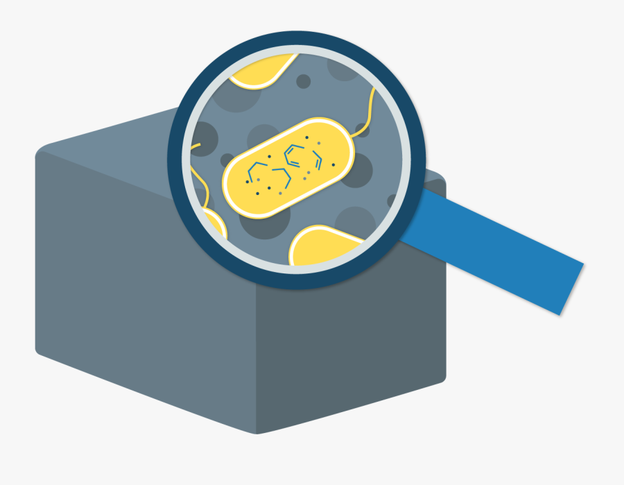Cca San Diego/applied Design, Transparent Clipart