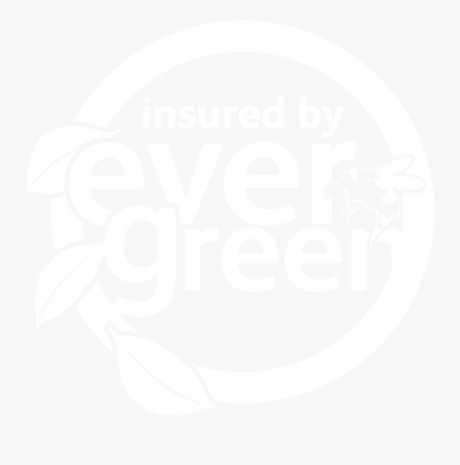 Ibe Icon White Bee - Graphic Design, Transparent Clipart