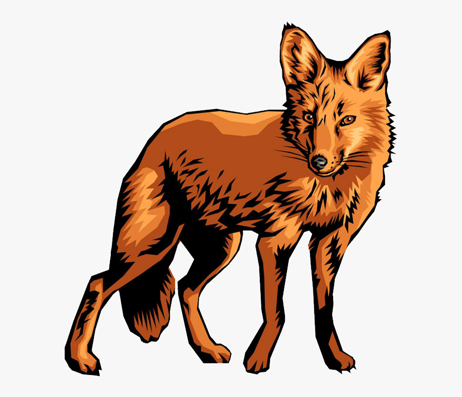 Red-fox - Food Web With A Producer Consumer Scavenger Decomposer, Transparent Clipart