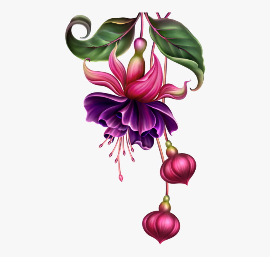 Fleurs Flores Flowers Bloemen - Fuschia Flower Clipart, Transparent Clipart