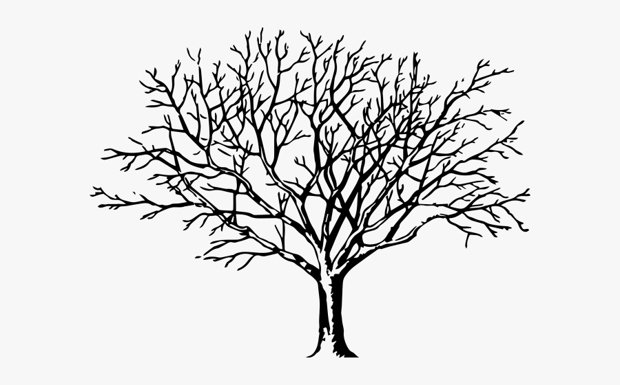 Free Tree Clip Art Black And White, Transparent Clipart