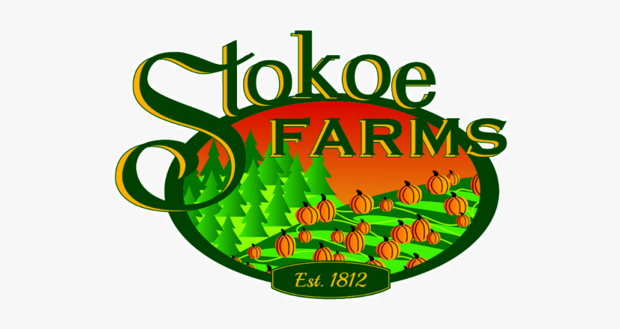 Graphic Design, Transparent Clipart