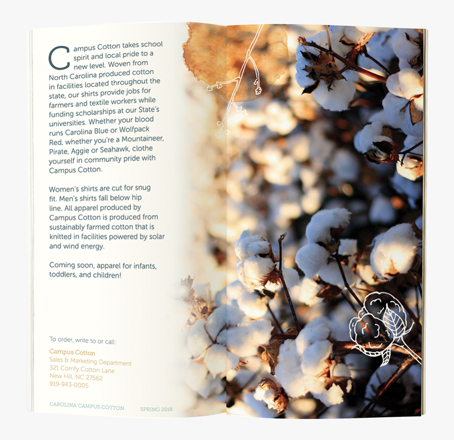 Cotton Boll Clipart, Transparent Clipart