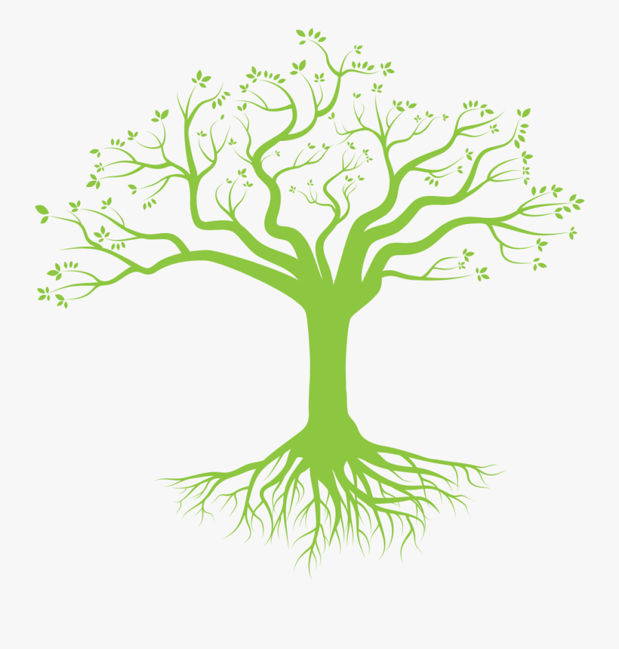 Transparent Tree With Roots, Transparent Clipart