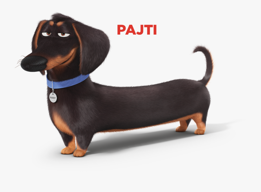 Secret Life Of Pets Ivan, Transparent Clipart