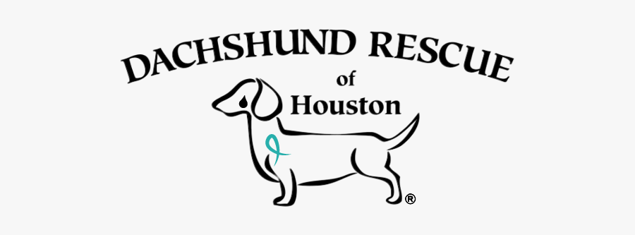 Dachshund Clipart Chiweenie - Dachshund Rescue Of Houston, Transparent Clipart