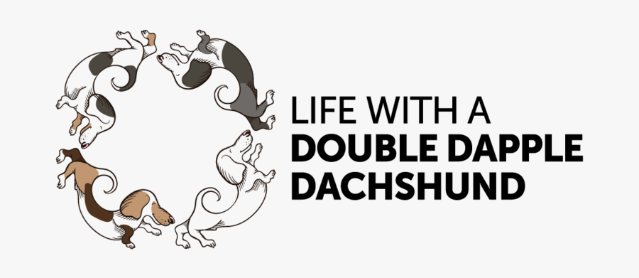 Florida Wiener Dog Derby Event Schedule - Graphic Design, Transparent Clipart