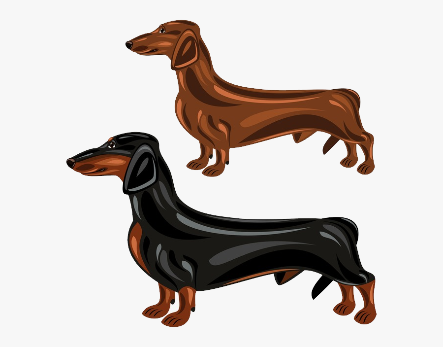 Dachshund Png - Dachshund Dog With Hat Clipart, Transparent Clipart