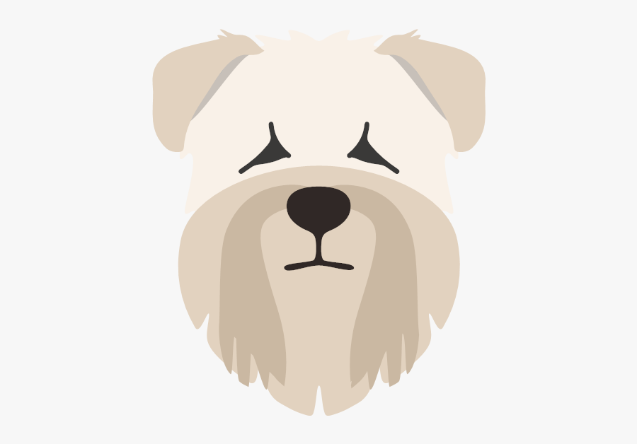 Yappicon - Irish Wheaten Terrier Png, Transparent Clipart