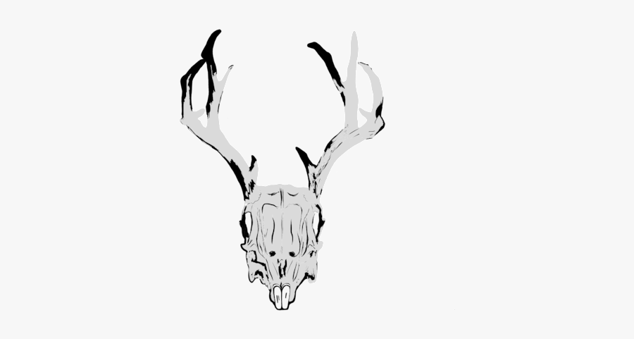 Rabbits Drawing Skeleton - Illustration, Transparent Clipart