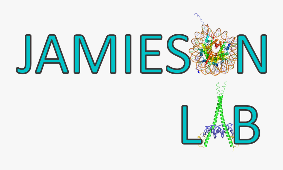 Histone Modification, Transparent Clipart