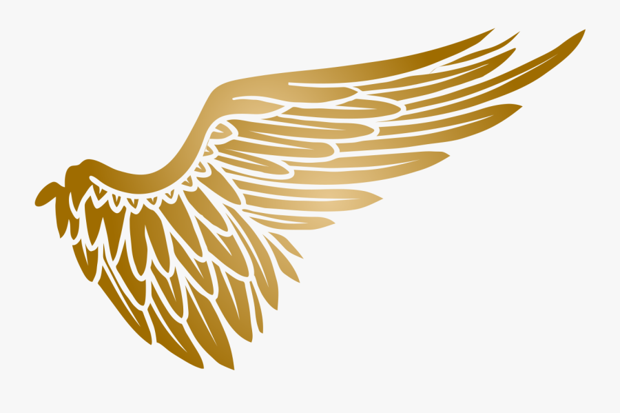 Arena On Basketball League Golden Volleyball Sports - Kurt Cobain Stencil, Transparent Clipart