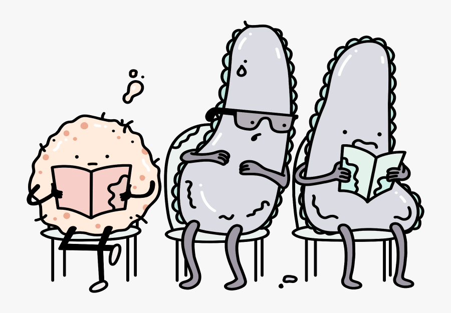 Maple Web Hospital - Cartoon, Transparent Clipart