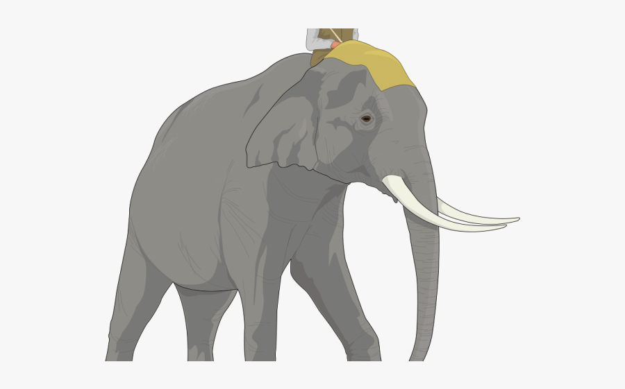 Rational Rider Emotional Elephant, Transparent Clipart