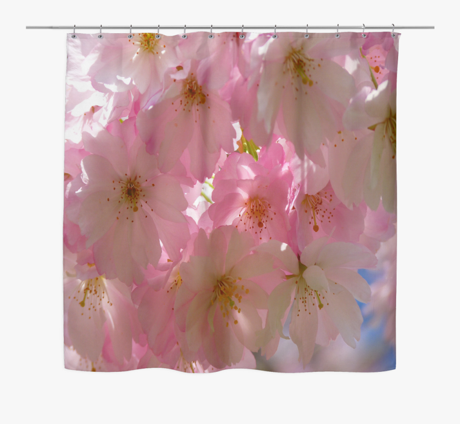 Transparent Cherry Blossom Tree Png - Cherry Blossom, Transparent Clipart