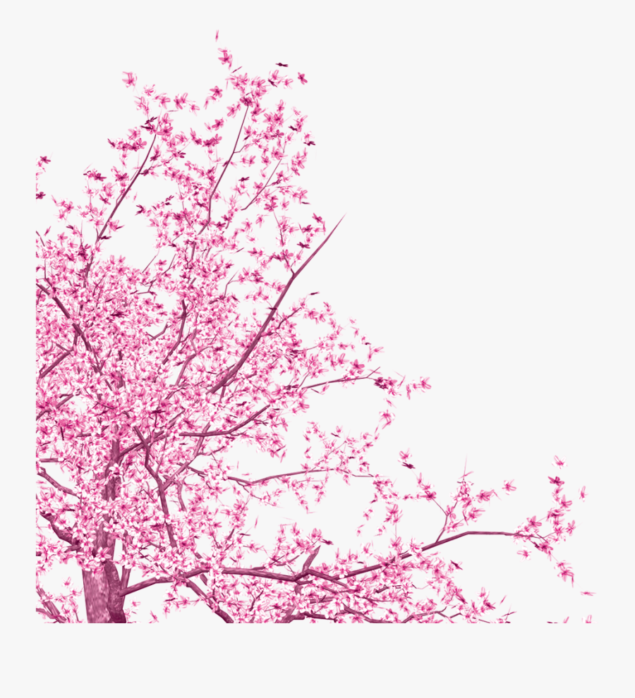 Transparent Sakura Tree Png - Flower Pink Tree Png, Transparent Clipart
