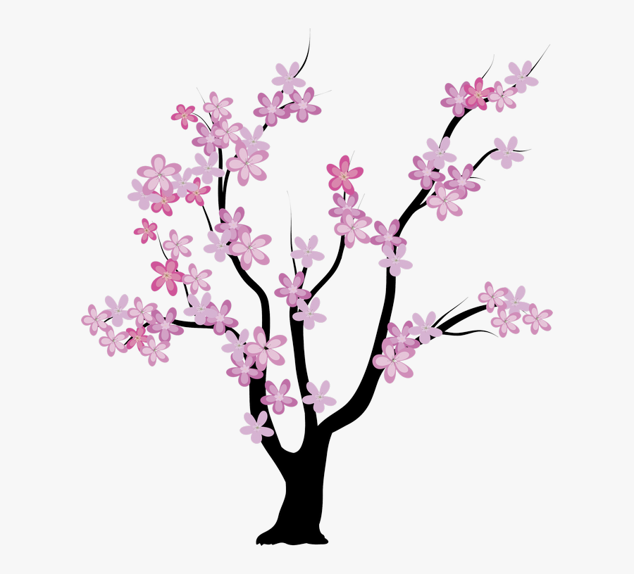 Cherry Blossom Family Tree Clipart , Png Download - Cherry Blossom Family T...