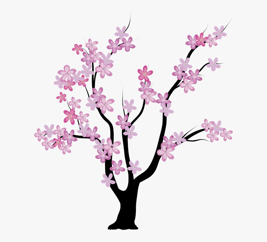 Cherry Blossom Family Tree Clipart , Png Download - Cherry Blossom