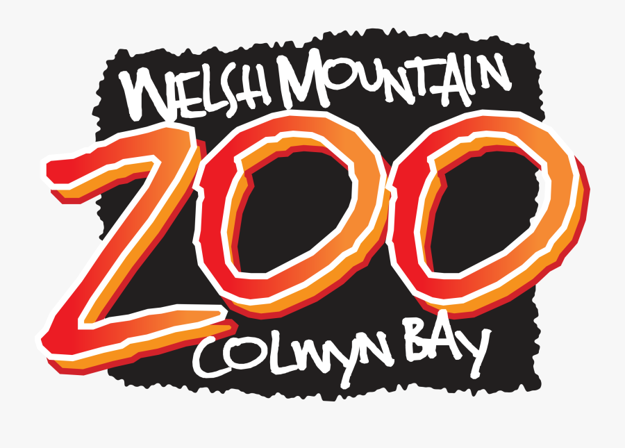 Welsh Mountain Zoo - Welsh Mountain Zoo Colwyn Bay, Transparent Clipart