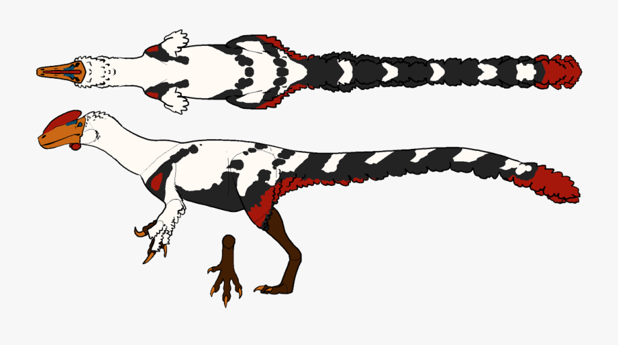 Illustration, Transparent Clipart