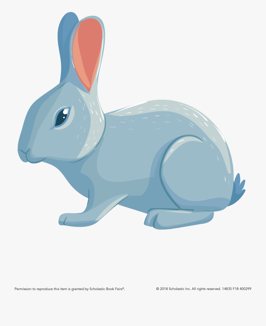 Domestic Rabbit, Transparent Clipart