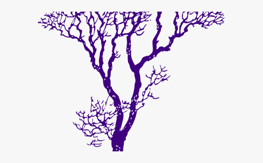 Wedding Clipart Tree - Tree Drawing, Transparent Clipart