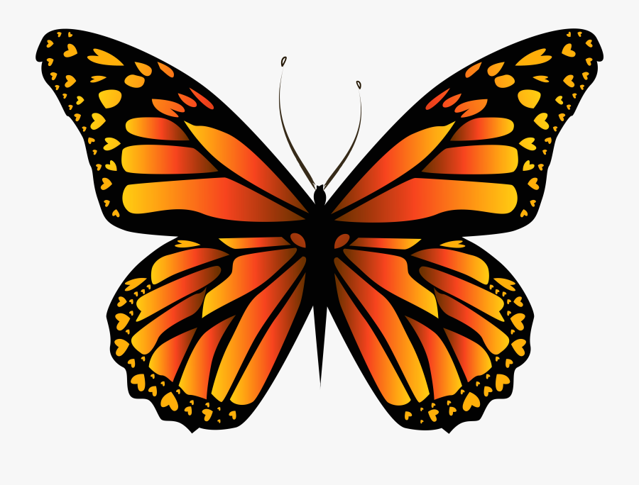 Monarch Butterfly Clipart , Png Download - Orange Butterfly, Transparent Clipart