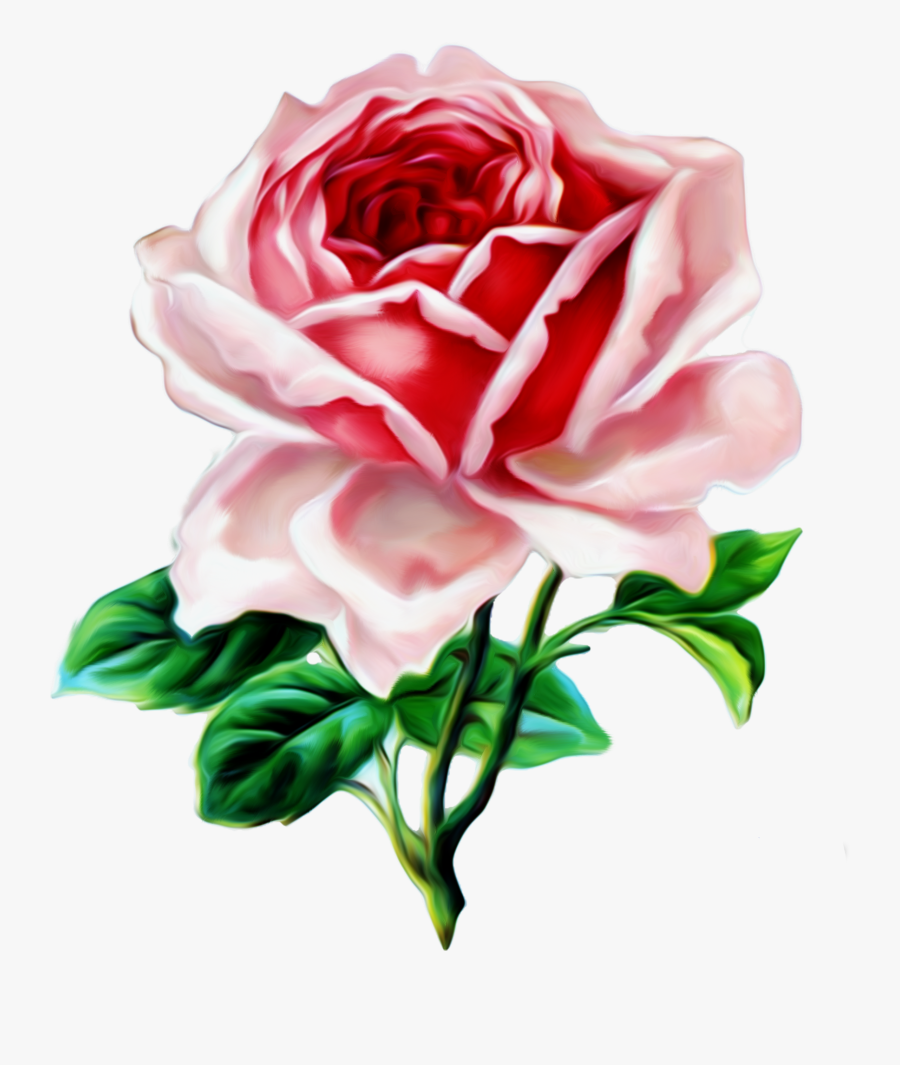 Fence Clipart Rose Garden - Vintage Rose, Transparent Clipart