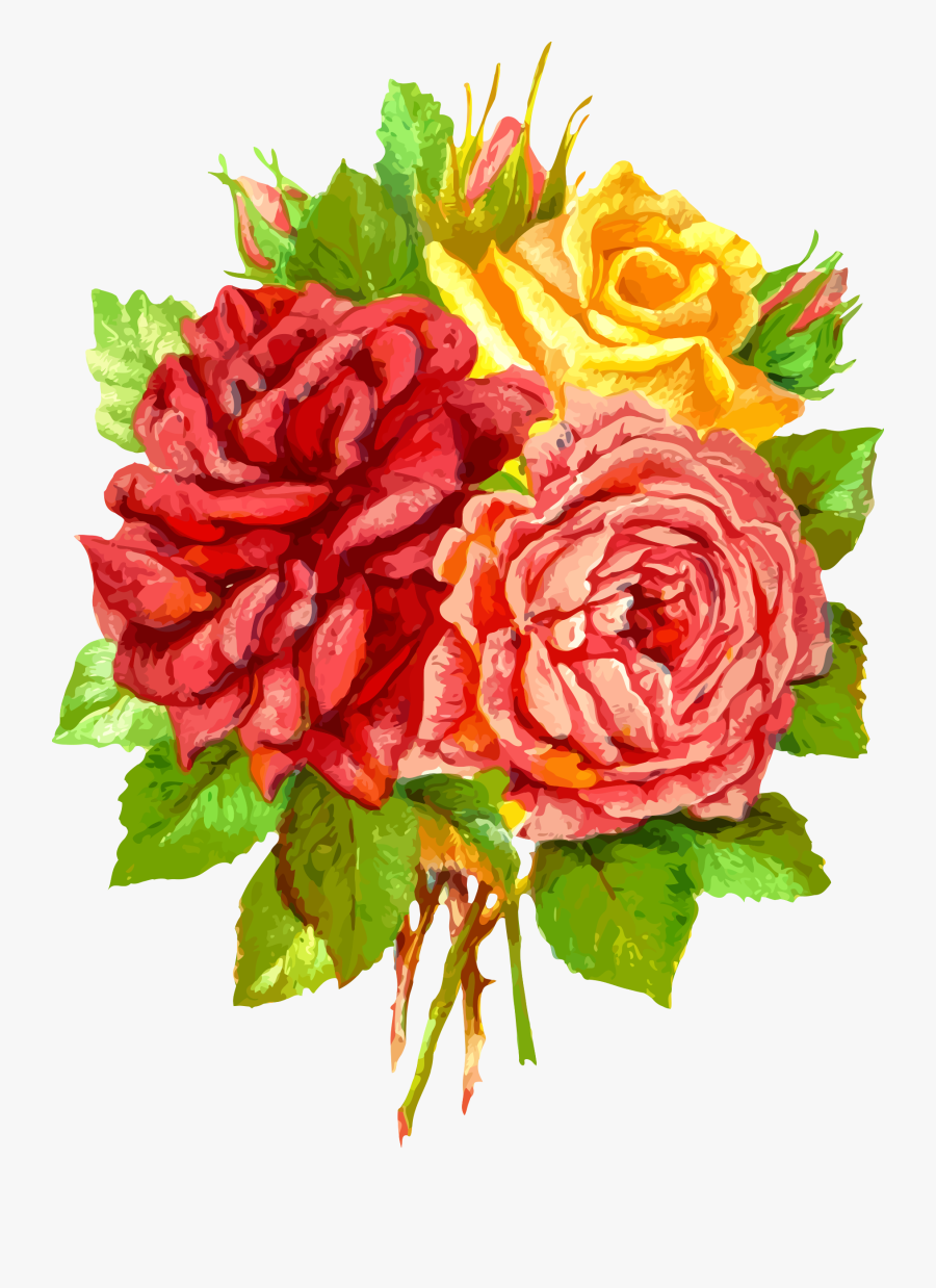 3 Clipart Rose - Garden Roses, Transparent Clipart