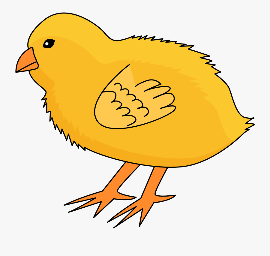 Songbird, Transparent Clipart