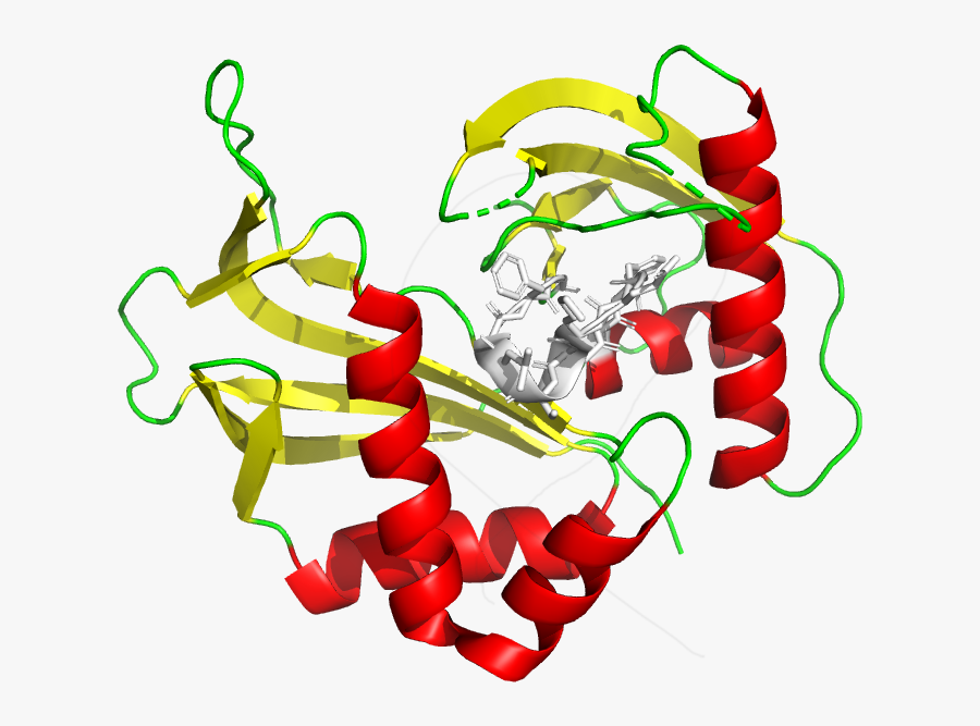Crystal Cas6 Glycine-rich Bucle - Graphic Design, Transparent Clipart