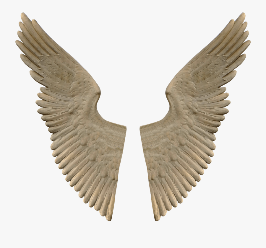 Stone Angel Wings - Marble Statue Wings, Transparent Clipart