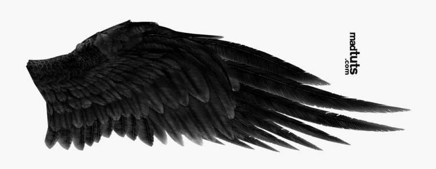 Angel Wing Png - Black Angel Wings Png, Transparent Clipart