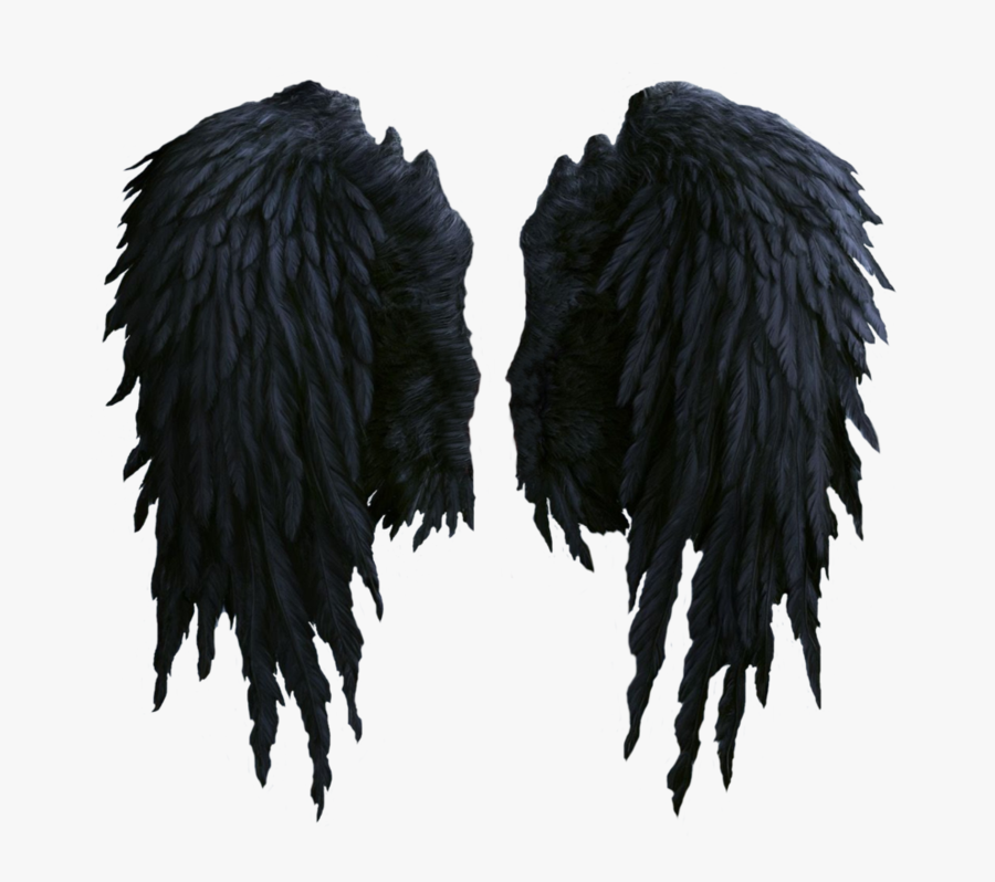 Angel Wings Vector Png - Black Angel Wings Png, Transparent Clipart