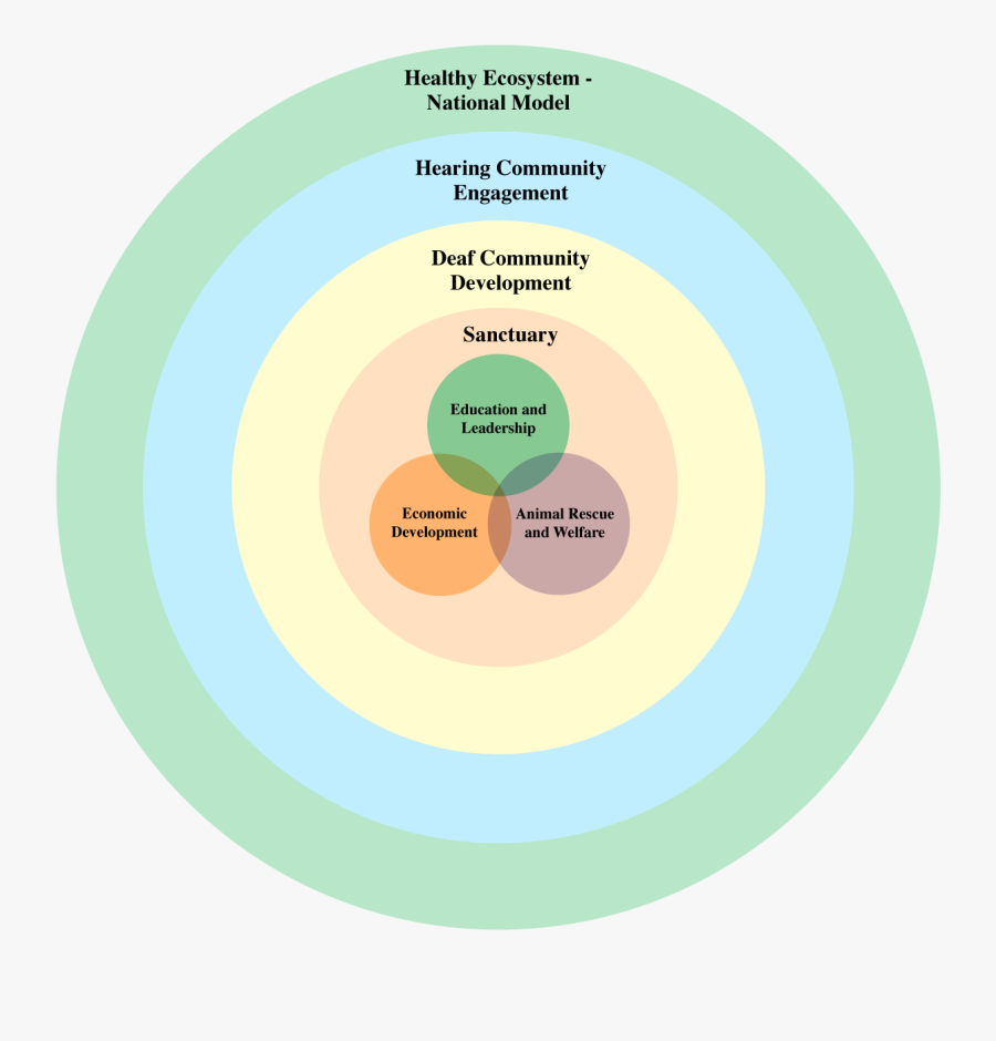 Green Poster, Transparent Clipart