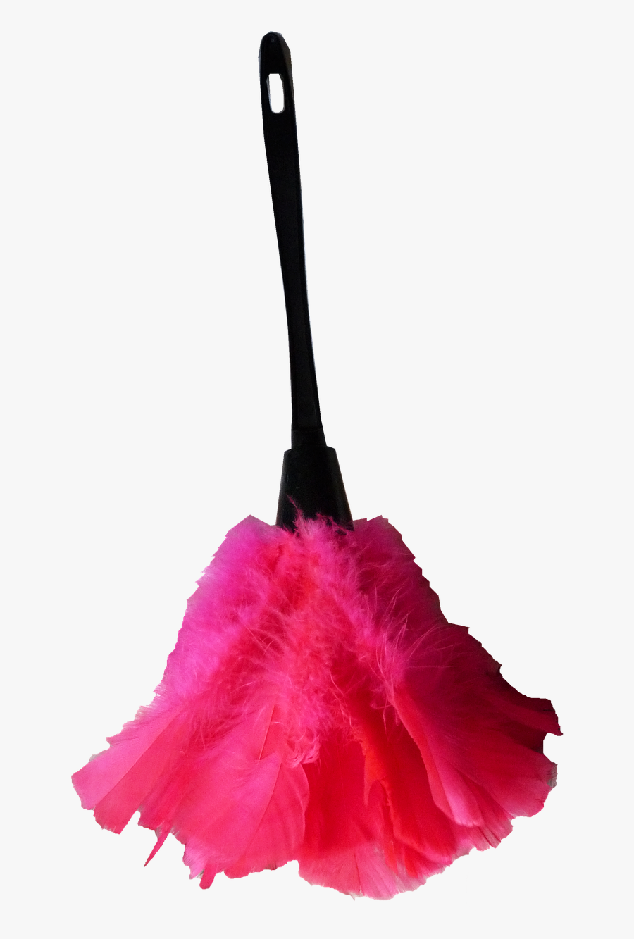 Feather Duster Housework Cleaning Free Picture - Thing To Remove Dust, Transparent Clipart