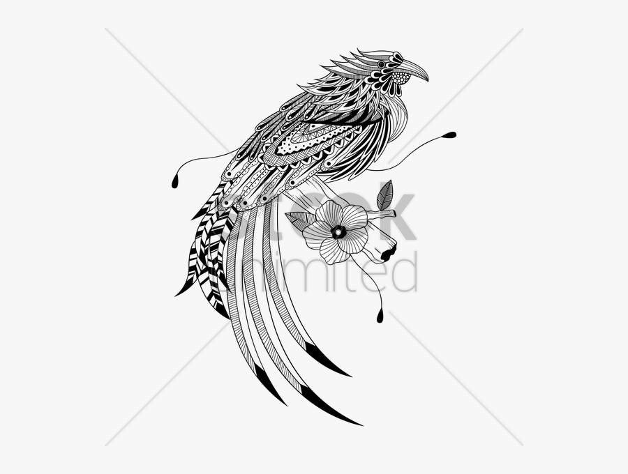 Bird, Feather, Drawing, Transparent Png Image Clipart - Bird Design Drawing, Transparent Clipart