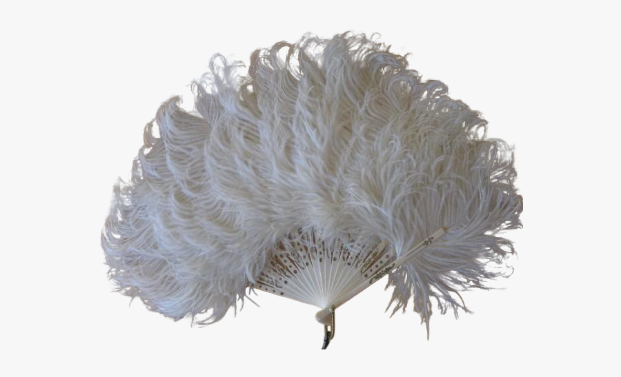 Ostrich Feathers Png - Vintage Ostrich Feather Fan, Transparent Clipart