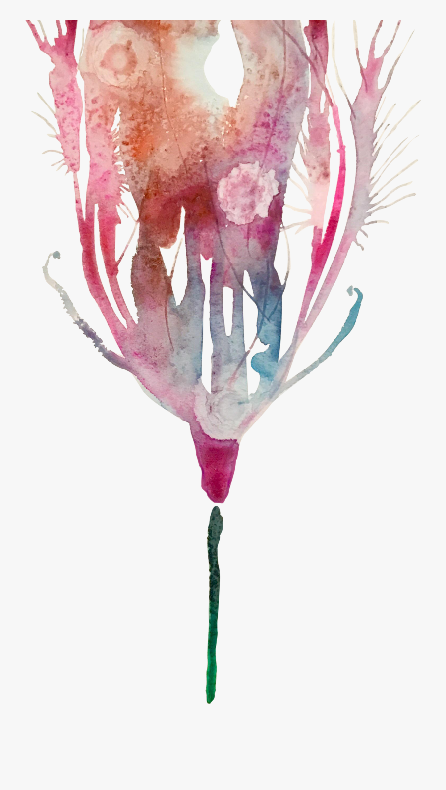 Clip Art Feather Floral Original Painting - Wine Glass, Transparent Clipart