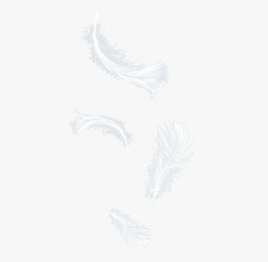 Cuorelucymy Lucymy Mialu Blue Piume Freetoedit - Darkness, Transparent Clipart