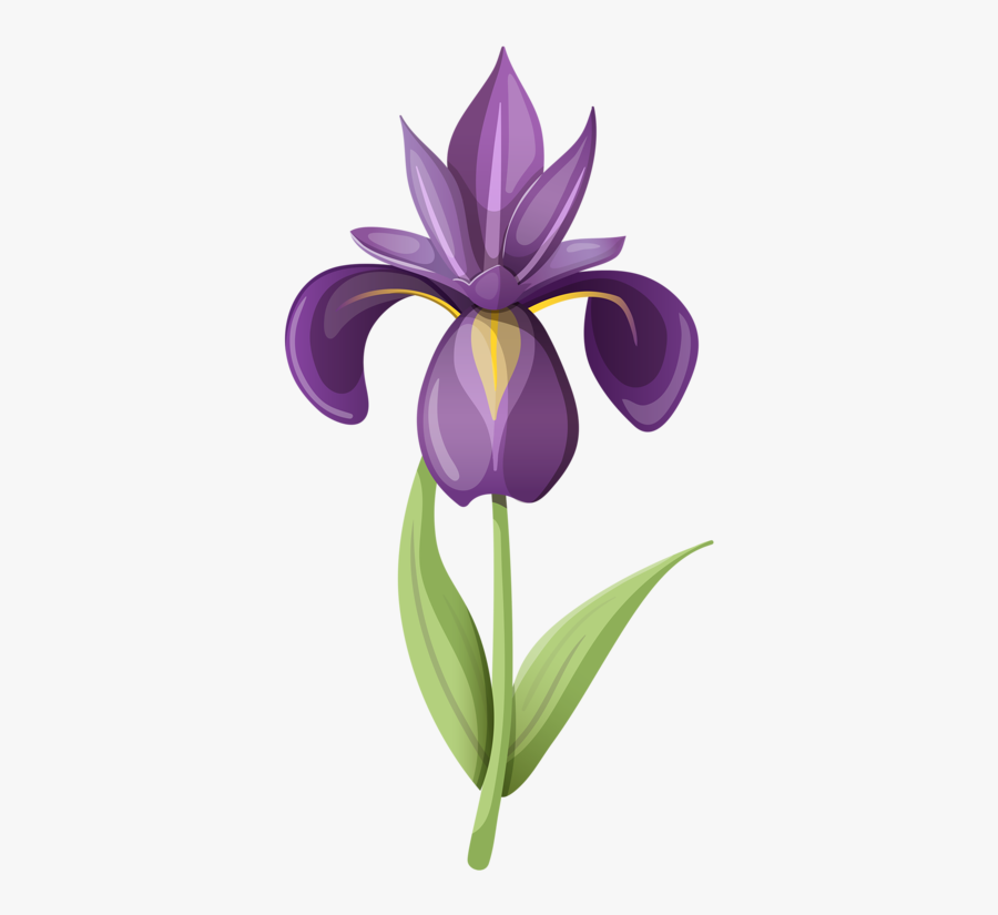Png Clip Art - Iris Flower Clipart, Transparent Clipart