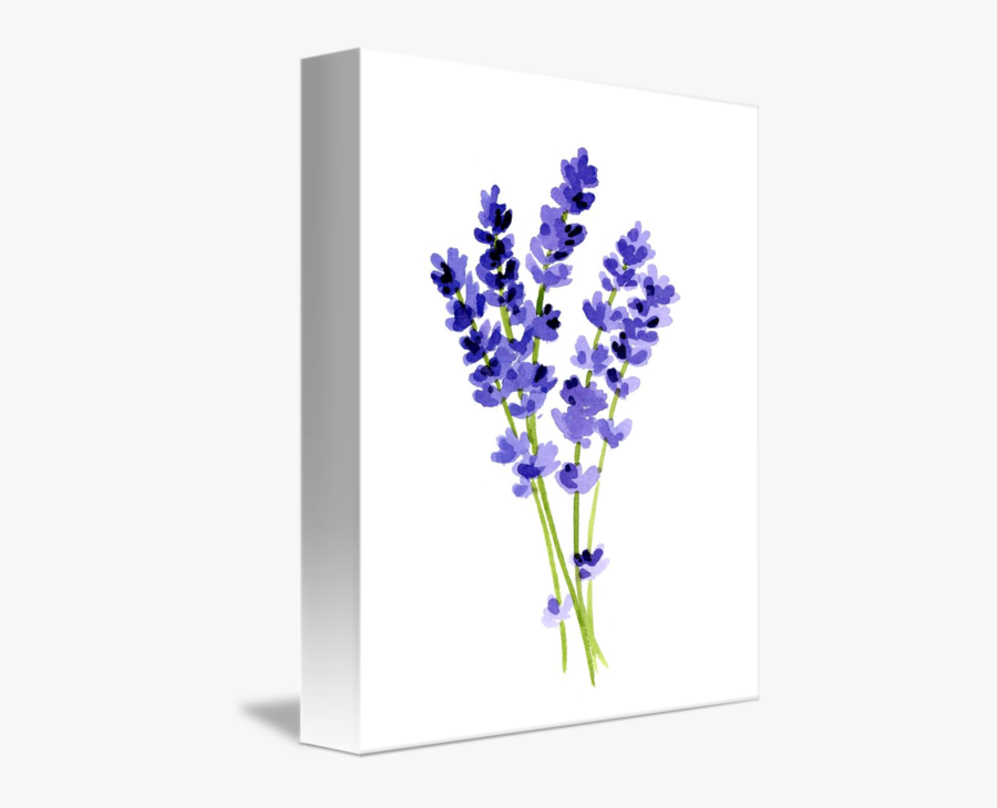 Transparent Hyacinth Png - Lavender Art, Transparent Clipart
