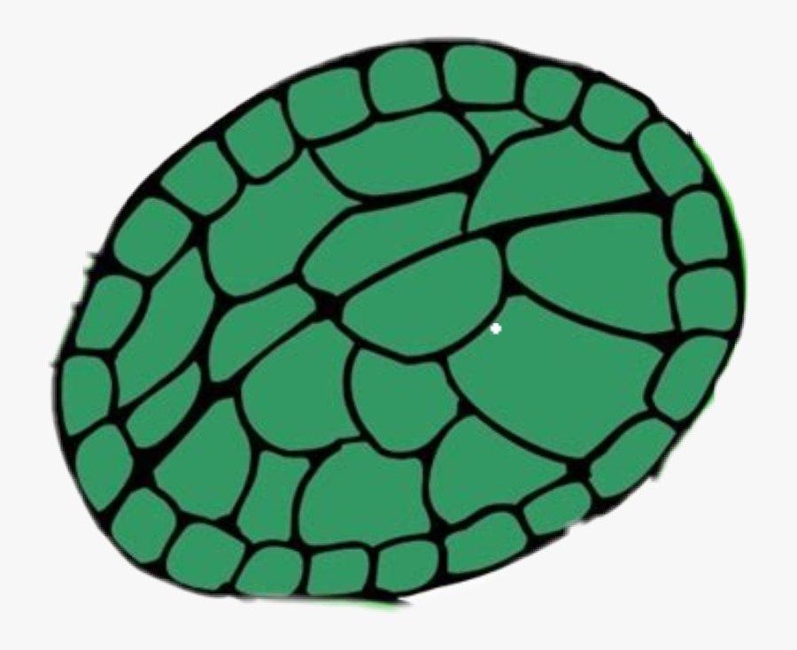 乌龟壳#chlover - Story Of Turtle Picnic, Transparent Clipart