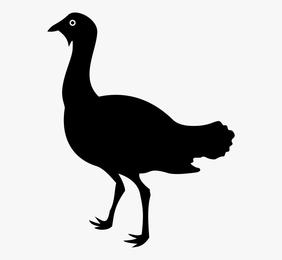 Flightless Bird,water Bird,cranelike Bird - Bustard Silhouette, Transparent Clipart